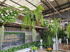 ทานอาหารในโซน outdoot ให้ความรู้สึกร่มรื่นผ่อนคลาย สบายตา