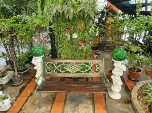 ทานอาหารในโซน outdoot ให้ความรู้สึกร่มรื่นผ่อนคลาย สบายตา